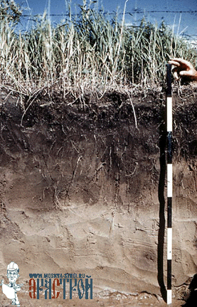 Толщина слоя чернозема